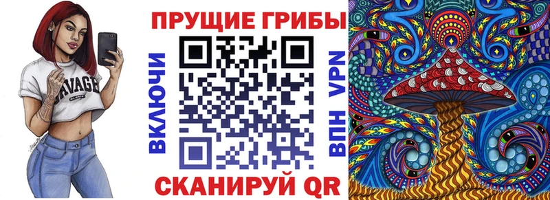 наркотики  Салаир  KRAKEN   Псилоцибиновые грибы прущие грибы 